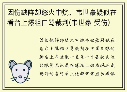 因伤缺阵却怒火中烧，韦世豪疑似在看台上爆粗口骂裁判(韦世豪 受伤)